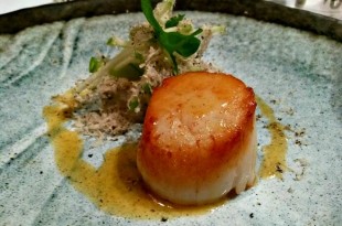 Hand dived scallop